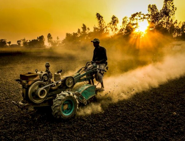 تیلر چیست و چه کاربردی در کشاورزی دارد؟
