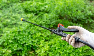 استفاده از سمپاش برای ضدعفونی پیاز زعفران؛ نکات کاربردی و ایمنی