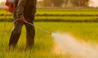 در پاییز چه سم‌پاشی‌هایی برای باغ انجام می‌شود؟ راهنمای کامل سم‌پاشی اصولی در فصل سرد