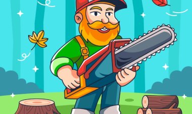 بهترین زمان برای هرس درختان میوه چه موقع است؟ راهنمای فصل هرس اصولی