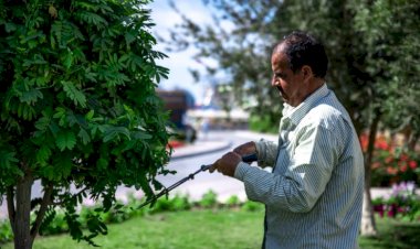 از چه سم‌هایی می‌توان در سمپاش دوشی استفاده کرد؟ راهنمای کامل مصرف سموم در باغ و مزرعه